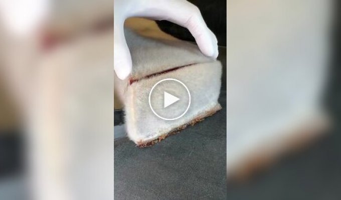 Tuna aged in noble mold