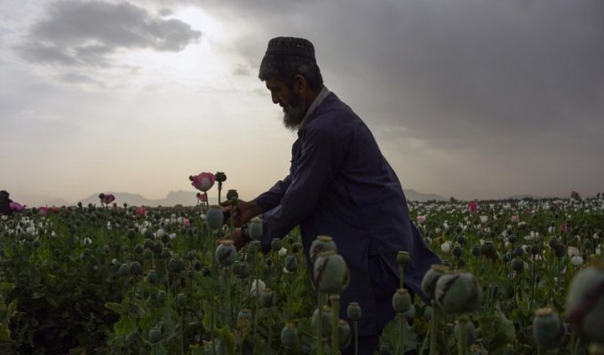 Интересные фотографии из Афганистана (19 фото)