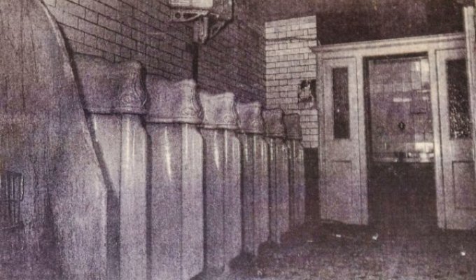 Старый общественный туалет в Лондоне перестроили под молодежную кофейню (3 фото)