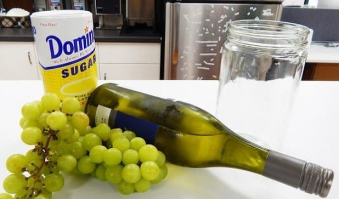 «Пьяный виноград» - отличное угощение для пятничного отдыха (13 фото)