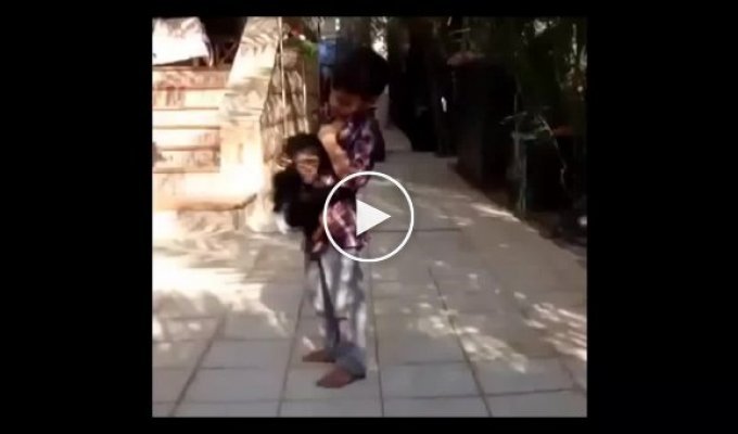 Мальчик защитил маленькую обезьянку от гиены