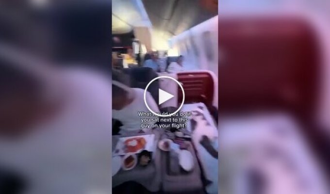Мужчина купил для своего кота билет бизнес-класса