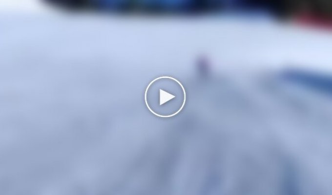Итальянская полиция разыскивает лыжника, который смеха ради преследовал волка на трассе