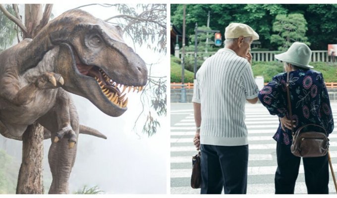 «У всьому винні динозаври»: чому люди не живуть до 200 років (6 фото)