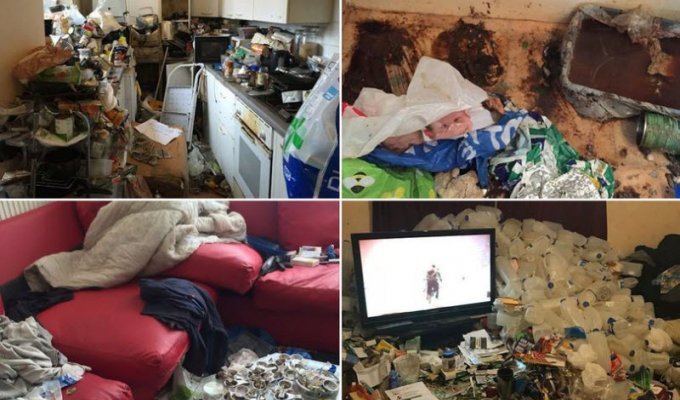 Владелец компании по уборке домов барахольщиков показал фото со своей работы (14 фото)