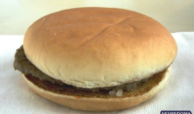  12-летний гамбургер (3 фото)