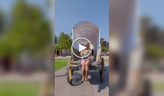 Нейросеть или реальность