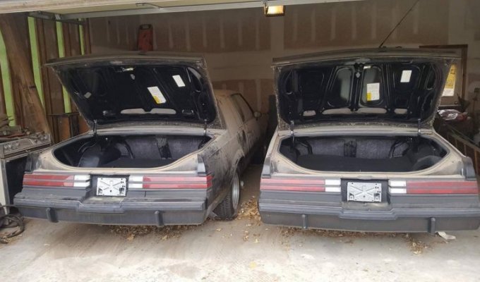 Редкие близнецы Buick провели в гараже 30 лет (12 фото)