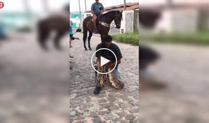 Чоловік проти 3-метрового удаву