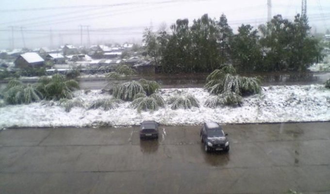Снег в Братске (5 фотографий)