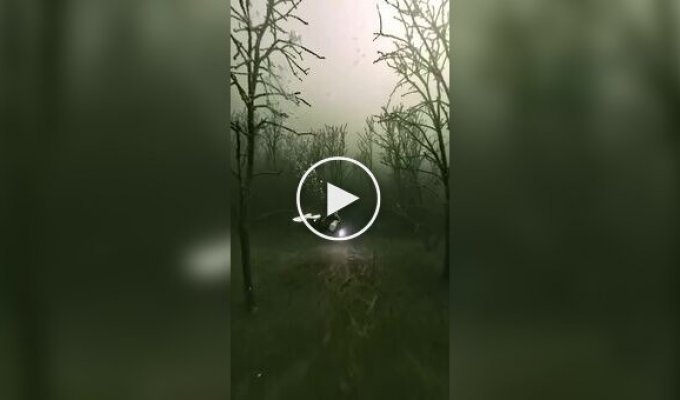 Затонувший мир: как немецкий угольный карьер превратился в фантастическое озеро с подводными лесами