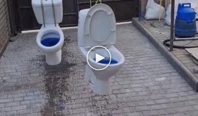 Survival of the fittest: battle of the toilets