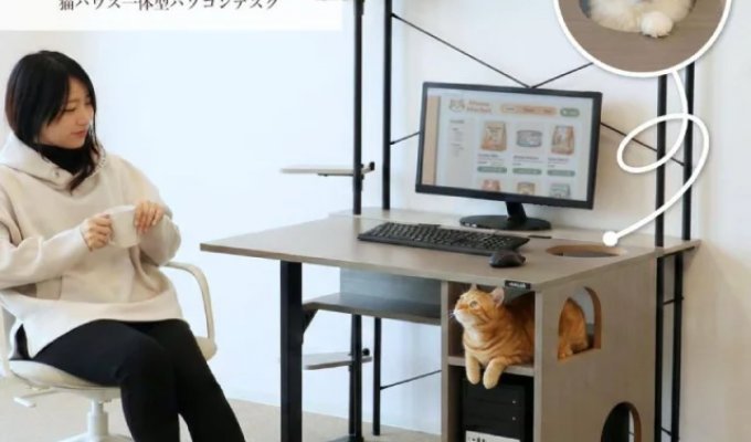 Стол для компьютера и вашего пушистика (5 фото)