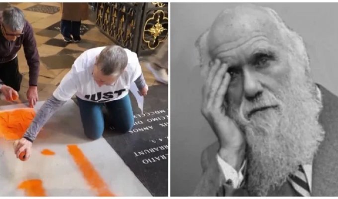 Eco-activists desecrated the grave of Charles Darwin (2 photos + 1 video)