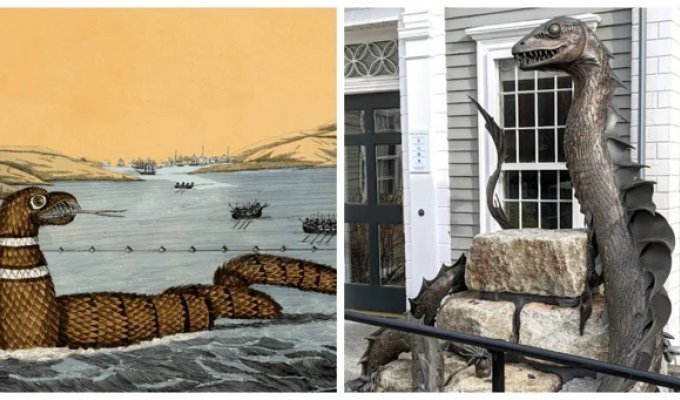 Monster Gloucester: How One Serpent Divided Scientists and Inspired Mockers (8 photos)