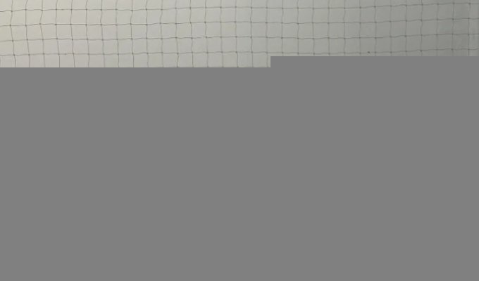 Вид с балкона в Дели (2 фото)