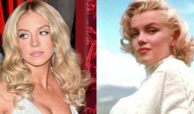 Sydney Sweeney Revealed to Be Related to Marilyn Monroe (3 photos)