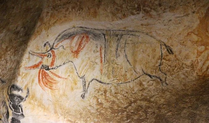 Пещерные рисунки Шове - древнейшие доисторические фрески (10 фото)