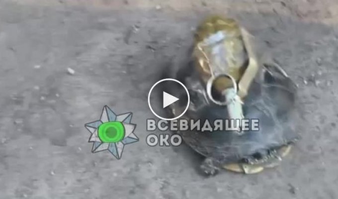 Вот, что делают русские солдаты с животными, перед тем как уйти из захваченной территории