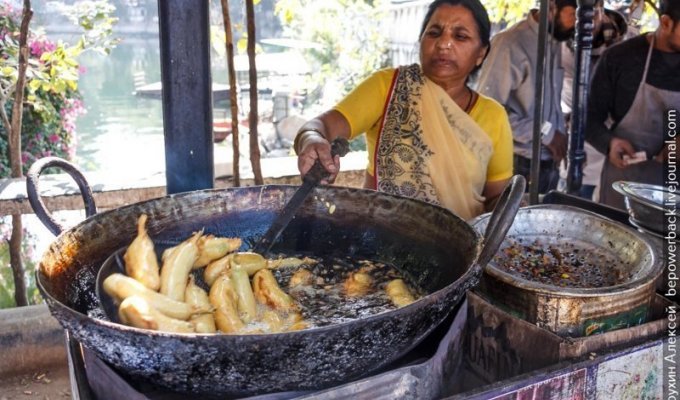 Как я чуть не стал вегетарианцем в Индии (16 фото)