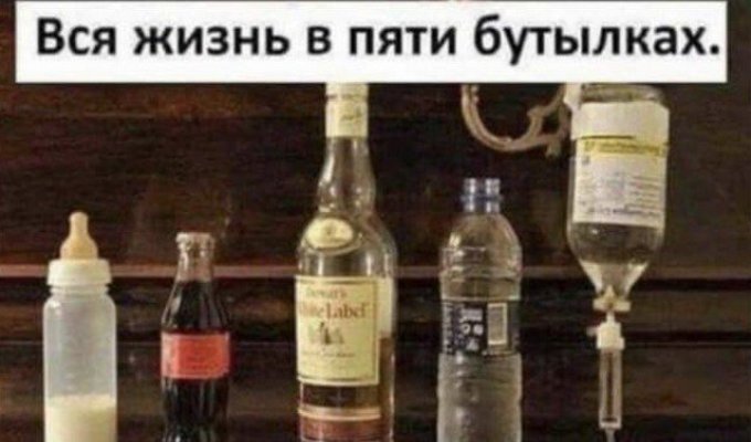 Лучшие шутки и мемы из Сети. Выпуск 203