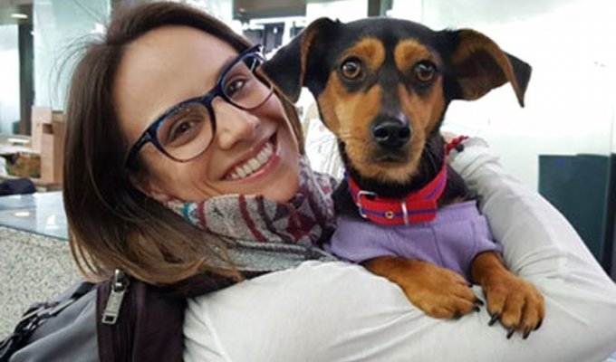 Канадская фигуристка спасла собаку, которую выращивали на убой в Пхенчхане (9 фото)