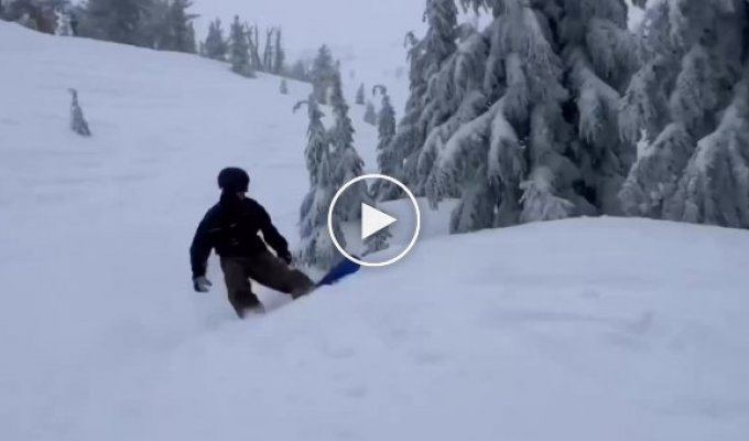 Snowboard trick and close contact with nature