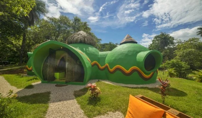 Woman Builds Jungle Home Out of Concrete and Dish Soap (26 Photos)