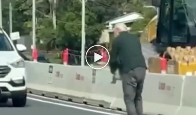 Пожилой австралиец перенес выбежавшую на дорогу коалу