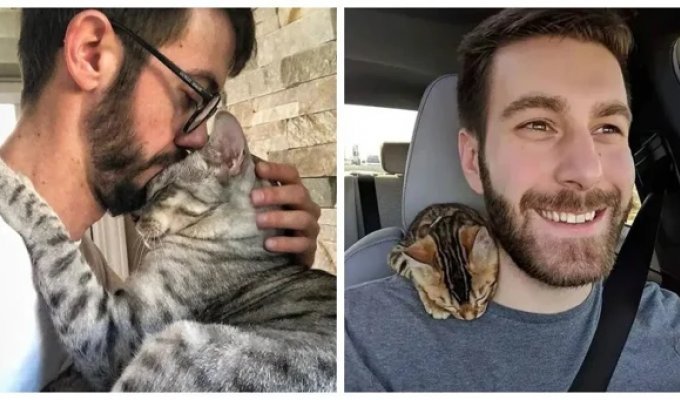 17 heartwarming photos of "dads" and their mustachioed pets (18 photos)