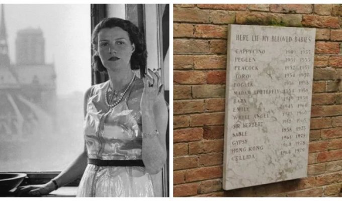 The story of Peggy Guggenheim and her not quite ordinary burial (8 photos)