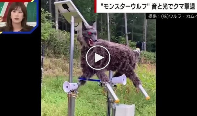 In Japan, they invented wolf robots to fight wild animals