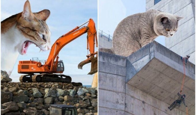 Инженеры выпустили календарь на 2023 с гигантскими кошками (14 фото)