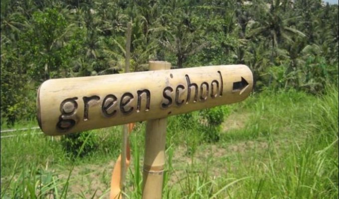 Зеленая школа на Бали (44 фото)