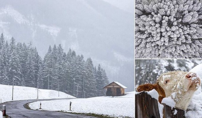 Зима в Альпы пришла на месяц раньше обычного (8 фото)
