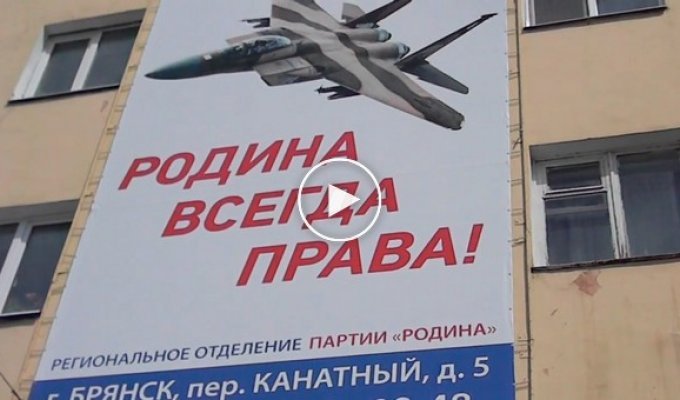 Партия Родина повесила в Брянске к 9 мая плакат с американским истребителем