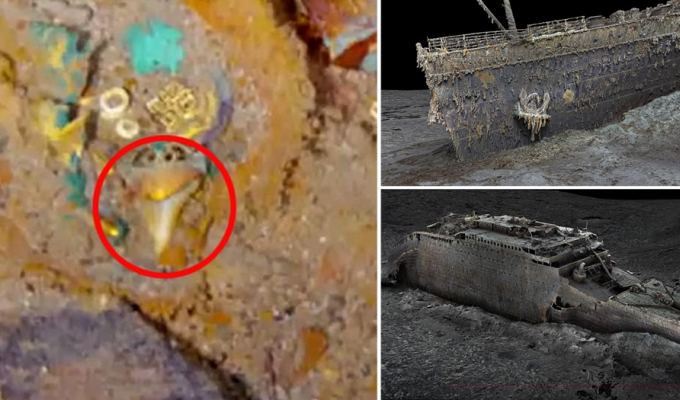 A gold necklace with a megalodon tooth was found among the wreckage of the Titanic (4 photos + 1 video)