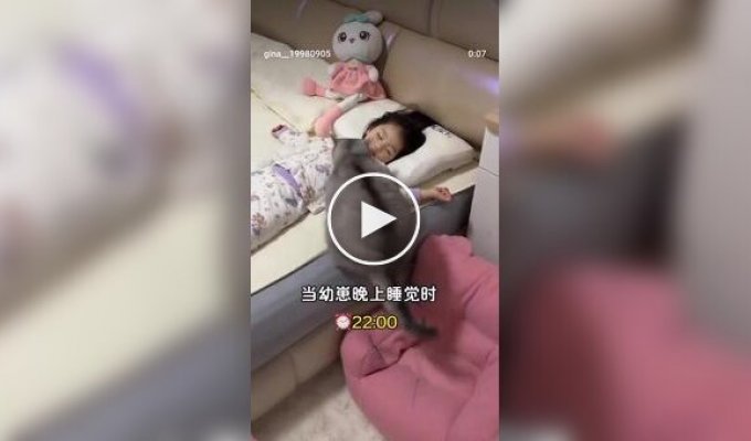 Кот добился своего