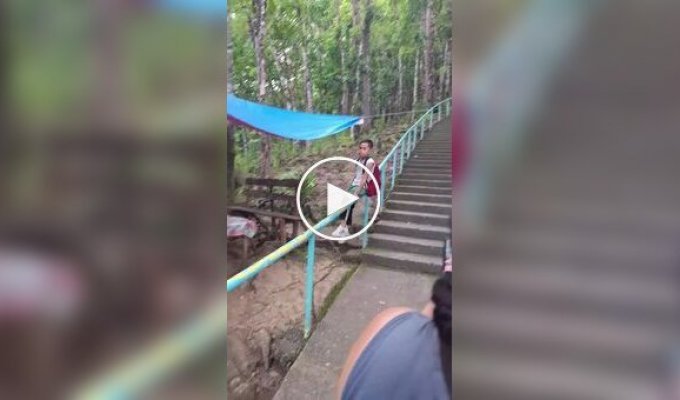 Лестница в лесу