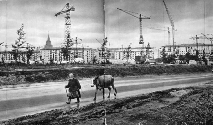 Маленькая фотоподборка московских контрастов пятидесятых-шестидесятых годов (36 фото)
