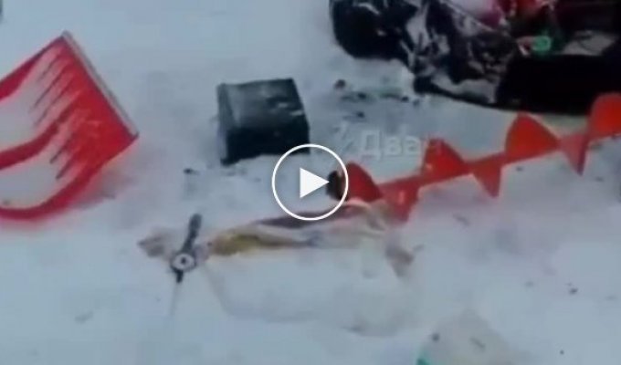 Пьяный водитель устроил покатушки по льду реки и раздавил палатку с рыбаками