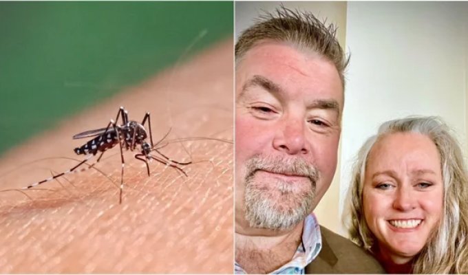 American Receives Combo of Dangerous Viruses After Mosquito Bite (3 photos + 1 video)