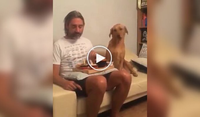Пес-актер: я не смотрю на твою еду