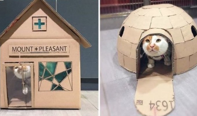 Ветеринары создают невероятные картонные домики для своего кота (17 фото)