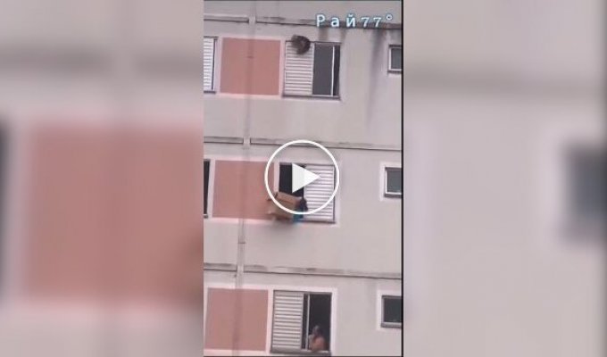 Драматичное спасение пса в Бразилии