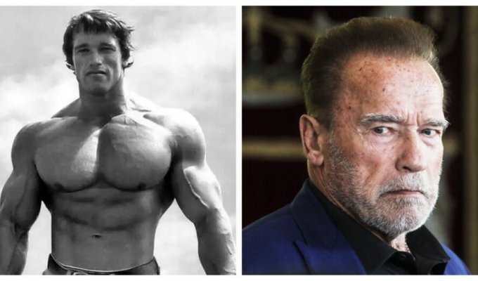 “Now they’re just hanging out”: Arnold Schwarzenegger complained about flabby muscles and an aging body (7 photos)