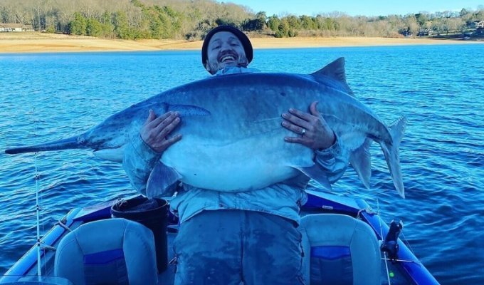 Вот так улов: мужчина поймал гигантскую рыбу весом более 50 килограммов (2 фото + 1 видео)