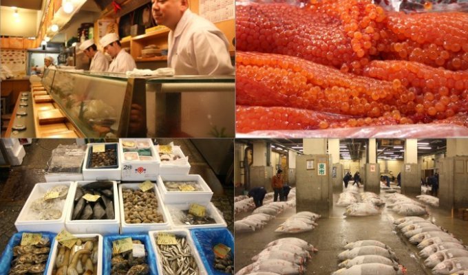 Токио. Рыбный рынок (17 фото)