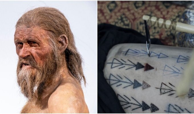 Scientists have discovered how they tattooed the ice man Ötzi (11 photos)