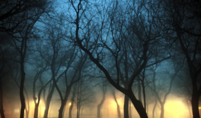 100 изумительных фотографий тумана (часть 1) (50 фото)